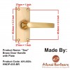 "Asa" Brass Door Handle with Plate 